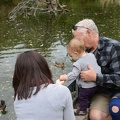 feeding the duck with grandpa2